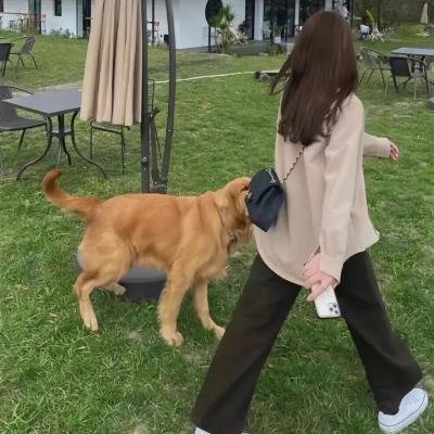 睡美人之终